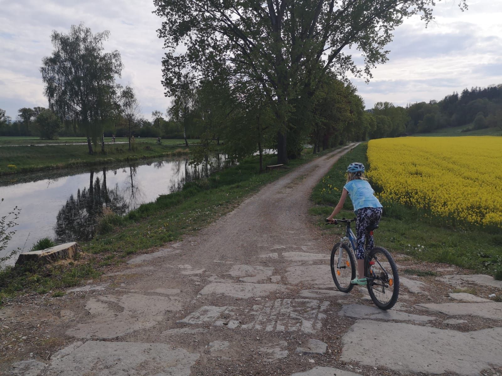 Bild 19.jpg